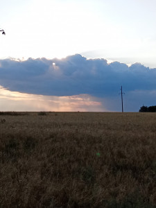 nq4zvqghyc3glysxn73xcnt5zin2jr8re5obqhuir39_71ylee1lczwz-mfynj4my3mrun0rbreszaz2fx2c8d5h (2)